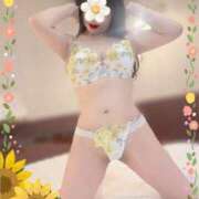 ヒメ日記 2026/08/27 14:55 投稿 橘 みつり こあくまな熟女たち三河店（KOAKUMAグループ）
