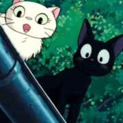 ヒメ日記 2025/12/03 12:20 投稿 さな RED BERYL～レッドベリル～