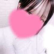 ヒメ日記 2025/10/29 12:00 投稿 しおん My Essentials