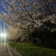 ヒメ日記 2025/04/15 14:46 投稿 みつり 秘密倶楽部 凛 船橋本店