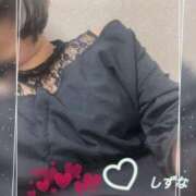 ヒメ日記 2025/09/19 09:31 投稿 しずな ギン妻パラダイス 堺東店