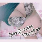 ヒメ日記 2025/02/28 14:22 投稿 いおり 和歌山ちゃんこ