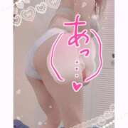 ヒメ日記 2025/04/02 03:25 投稿 いおり 和歌山ちゃんこ