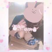 ヒメ日記 2025/05/03 10:56 投稿 いおり 和歌山ちゃんこ