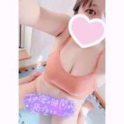 ヒメ日記 2025/08/16 14:10 投稿 いおり 和歌山ちゃんこ