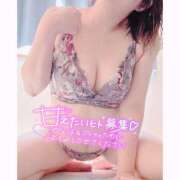 ヒメ日記 2025/08/25 10:37 投稿 いおり 和歌山ちゃんこ