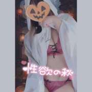 ヒメ日記 2025/10/09 15:29 投稿 いおり 和歌山ちゃんこ