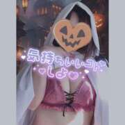 ヒメ日記 2025/10/12 11:15 投稿 いおり 和歌山ちゃんこ