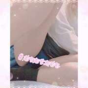 ヒメ日記 2025/11/01 08:34 投稿 いおり 和歌山ちゃんこ