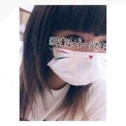 ヒメ日記 2025/11/05 03:59 投稿 いおり 和歌山ちゃんこ