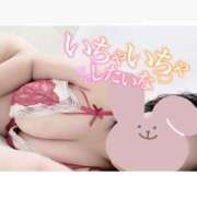 ヒメ日記 2025/11/14 12:07 投稿 いおり 和歌山ちゃんこ