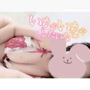 ヒメ日記 2025/11/27 10:02 投稿 いおり 和歌山ちゃんこ