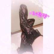 ヒメ日記 2025/12/02 16:09 投稿 いおり 和歌山ちゃんこ