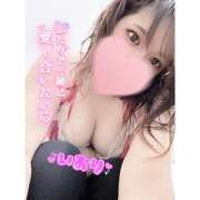 ヒメ日記 2025/12/04 02:15 投稿 いおり 和歌山ちゃんこ