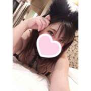 ヒメ日記 2025/12/08 09:47 投稿 いおり 和歌山ちゃんこ