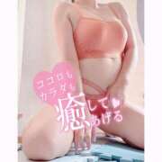 ヒメ日記 2026/02/11 10:35 投稿 いおり 和歌山ちゃんこ