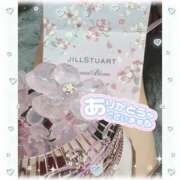 ヒメ日記 2026/03/12 22:31 投稿 いおり 和歌山ちゃんこ