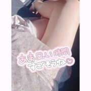 ヒメ日記 2026/03/17 11:44 投稿 いおり 和歌山ちゃんこ