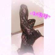 ヒメ日記 2026/03/25 02:49 投稿 いおり 和歌山ちゃんこ