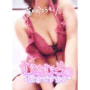 ヒメ日記 2026/03/31 00:34 投稿 いおり 和歌山ちゃんこ