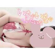 ヒメ日記 2026/03/31 03:18 投稿 いおり 和歌山ちゃんこ