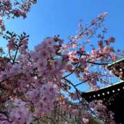 ヒメ日記 2026/04/21 17:57 投稿 うた☆綺麗な肌に清楚なエロス☆ 五十路有閑マダム～沖縄店～