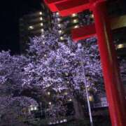 ヒメ日記 2025/04/12 22:13 投稿 なぐも 奥様特急三条店