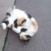 ヒメ日記 2024/12/21 04:09 投稿 みつ モッチ～ナ 函館店