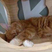 ヒメ日記 2025/02/04 04:15 投稿 みつ モッチ～ナ 函館店