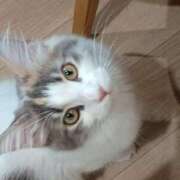 ヒメ日記 2025/02/10 04:03 投稿 みつ モッチ～ナ 函館店