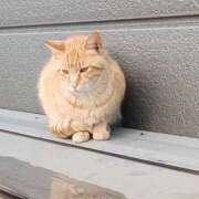 ヒメ日記 2025/03/18 04:03 投稿 みつ モッチ～ナ 函館店