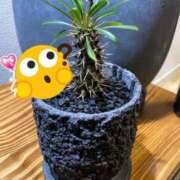 ヒメ日記 2024/12/23 10:59 投稿 まな 奥様鉄道69 岡山店