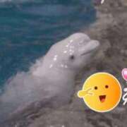 ヒメ日記 2025/01/19 18:39 投稿 まな 奥様鉄道69 岡山店