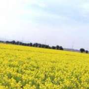 ヒメ日記 2025/03/13 17:29 投稿 まな 奥様鉄道69 岡山店