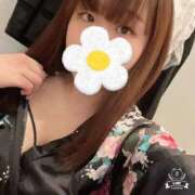 ヒメ日記 2025/02/27 23:58 投稿 いよ 三つ乱本館