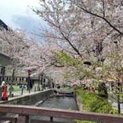 ヒメ日記 2025/04/11 12:07 投稿 いよ 三つ乱本館