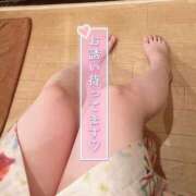 ヒメ日記 2025/04/27 06:17 投稿 いよ 三つ乱本館