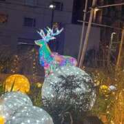 ヒメ日記 2026/02/04 16:17 投稿 いよ 三つ乱本館