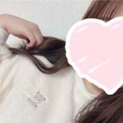 ヒメ日記 2026/03/10 10:07 投稿 いよ 三つ乱本館