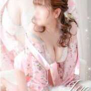 ヒメ日記 2026/03/11 12:27 投稿 いよ 三つ乱本館