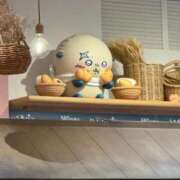 ヒメ日記 2026/04/08 16:53 投稿 いよ 三つ乱本館