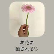 ヒメ日記 2025/03/16 07:47 投稿 かいり 阪神人妻花壇