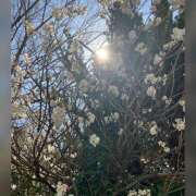 ヒメ日記 2025/03/23 08:32 投稿 かいり 阪神人妻花壇