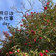 ヒメ日記 2025/01/19 17:29 投稿 かいり 神戸人妻花壇