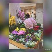 ヒメ日記 2025/01/23 11:35 投稿 かいり 神戸人妻花壇