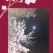 ヒメ日記 2025/04/07 21:02 投稿 かいり 神戸人妻花壇