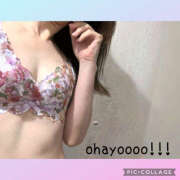 ヒメ日記 2025/04/17 07:02 投稿 かいり 神戸人妻花壇