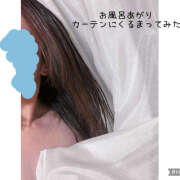 ヒメ日記 2025/04/28 07:01 投稿 かいり 神戸人妻花壇