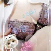 ヒメ日記 2025/02/28 22:09 投稿 鍛冶谷　えるぼ エテルナ京都