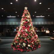 ヒメ日記 2025/12/25 16:55 投稿 鍛冶谷　えるぼ エテルナ京都